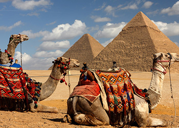 Camel Riding at Giza Pyramids